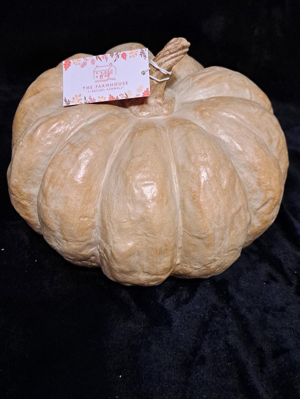 The Farmhouse Neutral Decorative Pumpkin Accent